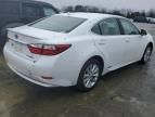 2013 Lexus ES 300H