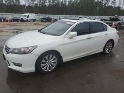 Salvage cars for sale at Harleyville, SC auction: 2013 Honda Accord EXL