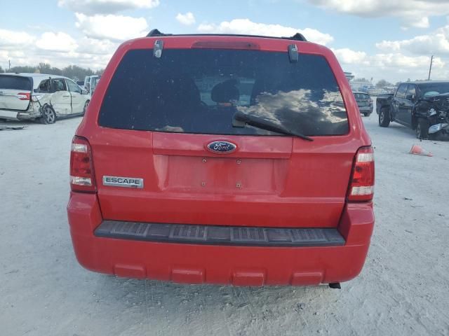 2009 Ford Escape XLT