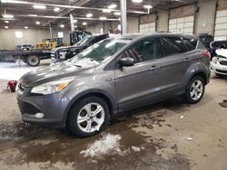 Salvage cars for sale from Copart Blaine, MN: 2014 Ford Escape SE