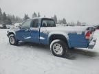 2003 Dodge Dakota SXT