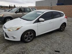 Salvage cars for sale at Mentone, CA auction: 2014 Ford Focus SE