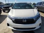 2023 Honda Odyssey EXL