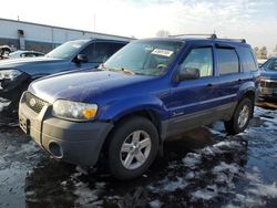 Salvage cars for sale at New Britain, CT auction: 2006 Ford Escape HEV