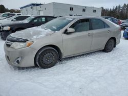 Salvage cars for sale from Copart Cookstown, ON: 2013 Toyota Camry L