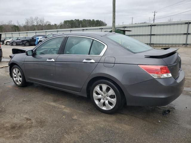 2010 Honda Accord EXL