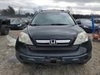 2009 Honda CR-V EXL