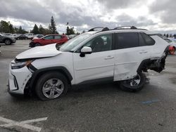 Salvage cars for sale at Rancho Cucamonga, CA auction: 2023 Toyota Rav4 XLE