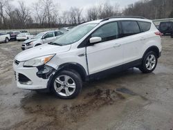 Salvage cars for sale at Ellwood City, PA auction: 2014 Ford Escape SE