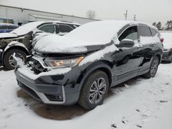 Salvage cars for sale at New Britain, CT auction: 2020 Honda CR-V EX