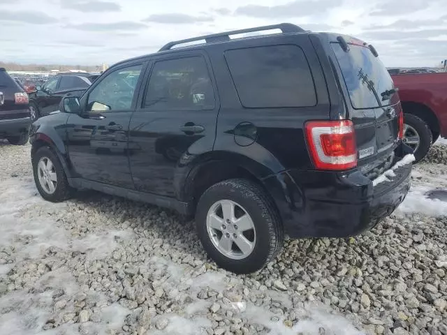 2012 Ford Escape XLT