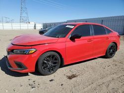 Salvage cars for sale at Adelanto, CA auction: 2024 Honda Civic Sport