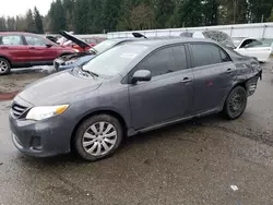 Toyota salvage cars for sale: 2013 Toyota Corolla Base