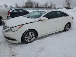 Carros salvage a la venta en subasta: 2014 Hyundai Sonata GLS