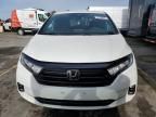 2023 Honda Odyssey SPORT-L