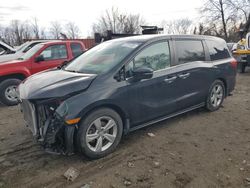 Honda salvage cars for sale: 2019 Honda Odyssey EXL