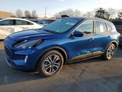 Salvage cars for sale at Moraine, OH auction: 2022 Ford Escape SEL