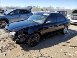 Toyota salvage cars for sale: 1998 Toyota Corolla VE