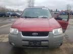 2001 Ford Escape XLT