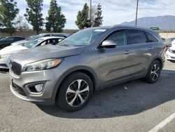 Salvage cars for sale at Rancho Cucamonga, CA auction: 2016 KIA Sorento EX