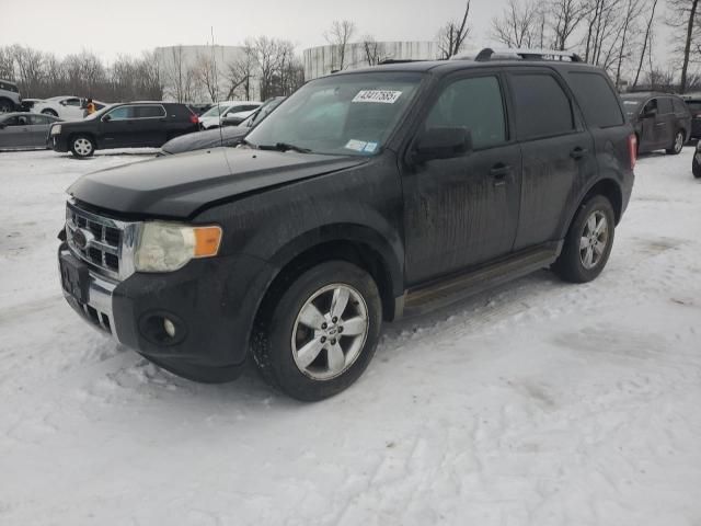 2010 Ford Escape Limited