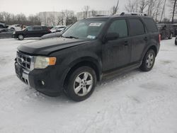 2010 Ford Escape Limited en venta en Central Square, NY