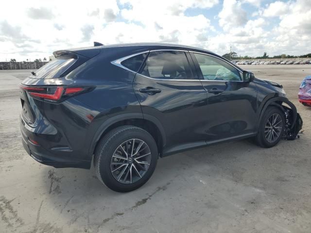 2023 Lexus NX 350