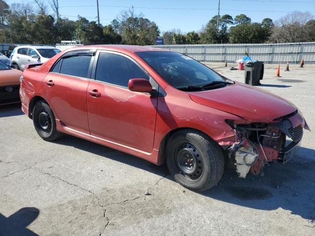 2010 Toyota Corolla Base