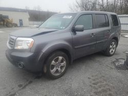 Honda Pilot salvage cars for sale: 2013 Honda Pilot EX