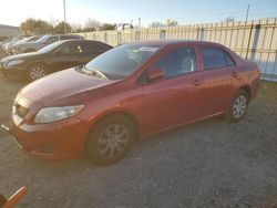 Toyota Corolla salvage cars for sale: 2009 Toyota Corolla Base