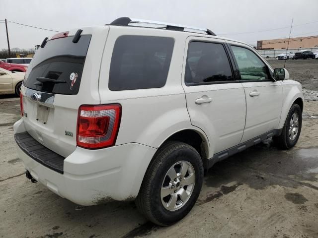 2012 Ford Escape Limited