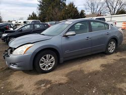 Salvage cars for sale at Finksburg, MD auction: 2010 Nissan Altima Hybrid