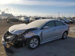 Salvage cars for sale at Des Moines, IA auction: 2014 Hyundai Sonata GLS