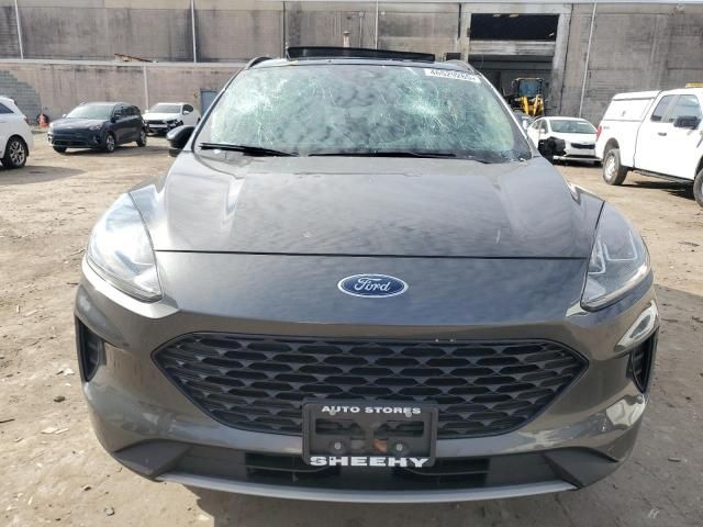 2020 Ford Escape SE Sport