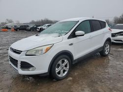 Ford Escape se salvage cars for sale: 2013 Ford Escape SE