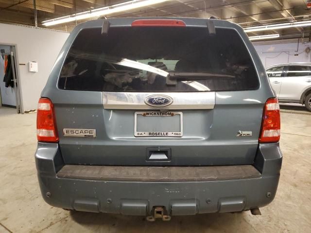 2010 Ford Escape Limited