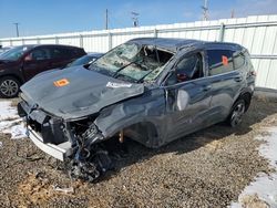 Vehiculos salvage en venta de Copart Magna, UT: 2023 Hyundai Santa FE SEL