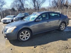 Nissan salvage cars for sale: 2007 Nissan Maxima SE