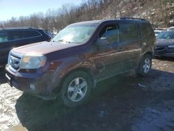 Honda Vehiculos salvage en venta: 2009 Honda Pilot EXL