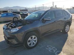 Salvage cars for sale at Sun Valley, CA auction: 2019 Toyota Rav4 LE