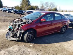 Salvage cars for sale at Finksburg, MD auction: 2016 Ford Focus SE