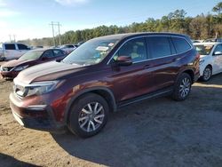 Salvage cars for sale at Greenwell Springs, LA auction: 2020 Honda Pilot EXL