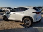 2024 Lexus NX 350H Base