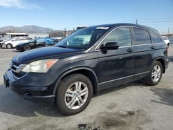 Salvage cars for sale at Sun Valley, CA auction: 2010 Honda CR-V EXL