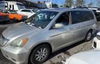 2008 Honda Odyssey EXL