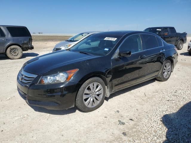 2011 Honda Accord EXL