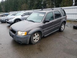 Ford Vehiculos salvage en venta: 2002 Ford Escape XLT