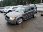 2002 Ford Escape XLT