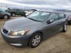 2010 Honda Accord LXP