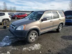 Salvage cars for sale at Arlington, WA auction: 2002 Honda CR-V EX